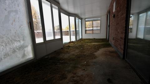 Wasted Wicker....Wasted FEB 2021 - IMG_8025.JPG