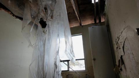 Wasted Wicker....Wasted FEB 2021 - IMG_8026.JPG