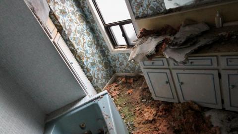 Wasted Wicker....Wasted FEB 2021 - IMG_8027.JPG