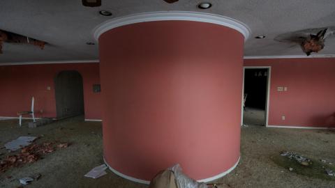 Wasted Wicker....Wasted FEB 2021 - IMG_8034.JPG