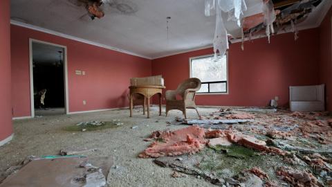 Wasted Wicker....Wasted FEB 2021 - IMG_8035.JPG