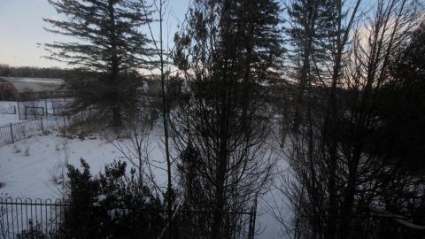 Wasted Wicker....Wasted FEB 2021 - IMG_8036.JPG