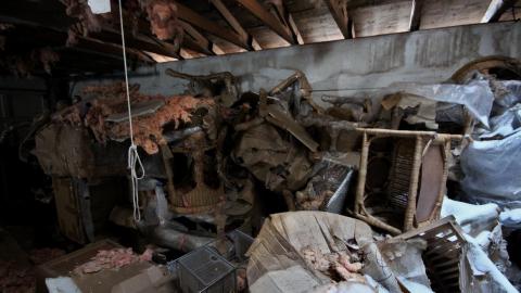 Wasted Wicker....Wasted FEB 2021 - IMG_8041.JPG