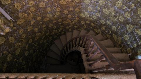 Wasted Wicker....Wasted FEB 2021 - IMG_8043.JPG