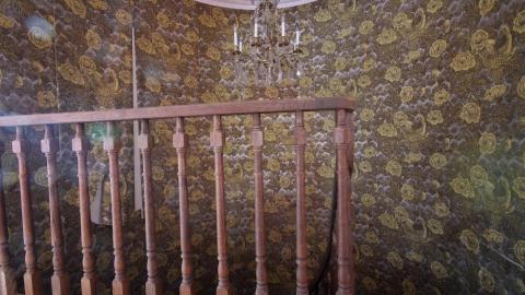 Wasted Wicker....Wasted FEB 2021 - IMG_8045.JPG