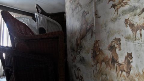 Wasted Wicker....Wasted FEB 2021 - IMG_8051.JPG