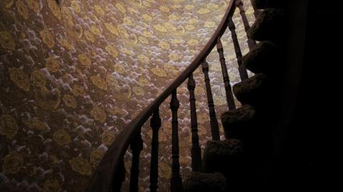 Wasted Wicker....Wasted FEB 2021 - IMG_8055.JPG