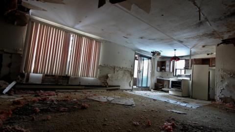 Wasted Wicker....Wasted FEB 2021 - IMG_8070.JPG