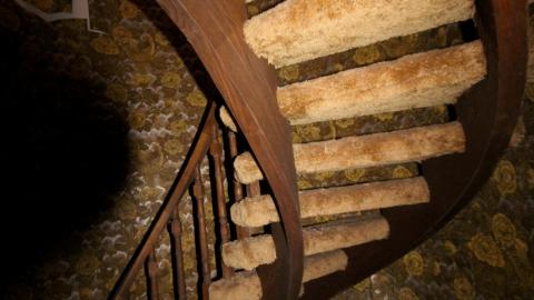 Wasted Wicker....Wasted FEB 2021 - IMG_8077.JPG