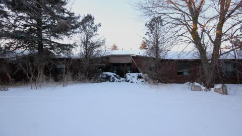 Wasted Wicker....Wasted FEB 2021 - IMG_8078.JPG