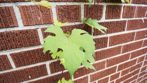 St. Jules School - June 2021 - 6.jpg