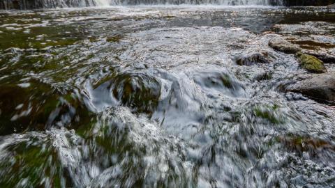 2021 - progrestion falls waterfalls of ontario (25 of 30)-25.jpg