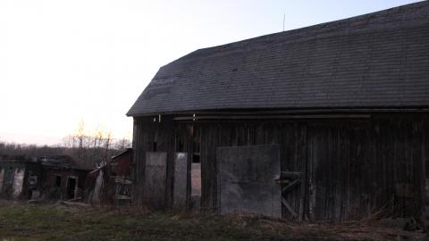 Farmhouse (April 2020) - IMG_9088.JPG