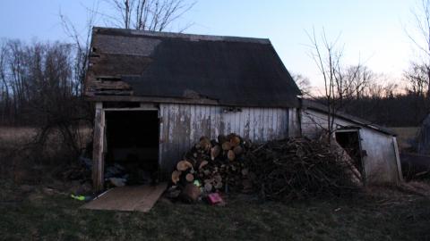 Farmhouse (April 2020) - IMG_9119.JPG