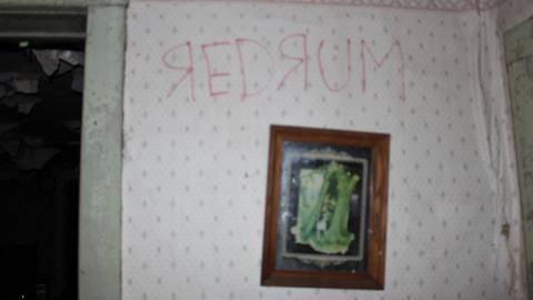 Farmhouse (April 2020) - IMG_9112.JPG