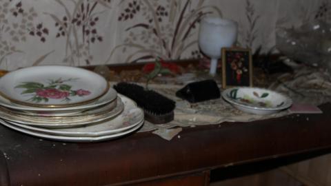 Farmhouse (April 2020) - IMG_9109.JPG