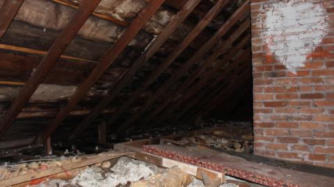 Graffiti House (July 2021) - IMG_9630.JPG