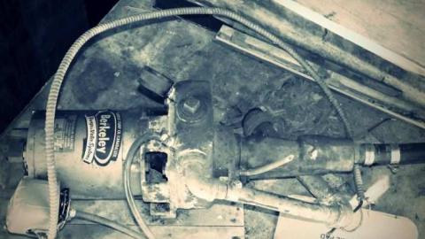 January 15th 2011 - Medway-Road-Violated-Beauty22.jpg