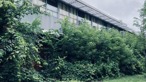 XCLO Exteriors - 5D0ADA2E-1805-4AF0-AEC3-9AC97721730E.jpeg