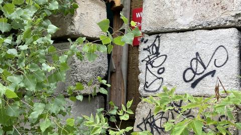 XCLO Exteriors - 7C7F6955-CA1A-4860-B719-3080D695F3C0.jpeg