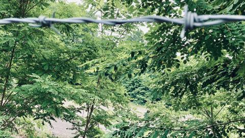 XCLO Exteriors - C8EBDA5E-5D57-4BF9-80B2-52CEB15BBEE6.jpeg