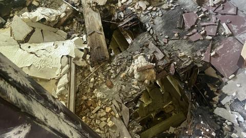 Armstrong Attack base July 21 - D4AD420A-B34B-4052-837B-FEE86A4D5025.jpeg