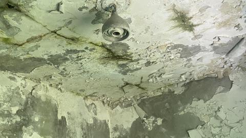 Armstrong Attack base July 21 - F8E0FBFE-97FF-43FE-BC0F-79924F6A2B3D.jpeg