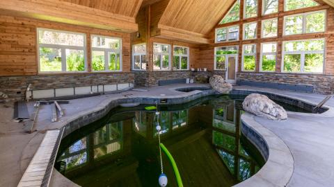 2019 - Abandoned Party Mansion Indoor Pool.jpg