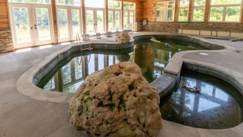 2019 - London Ontario Abandoned Mansion pool rock.jpg