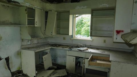 Photo from July 11 2021