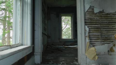 July 11 2021 - DSCN0548.JPG