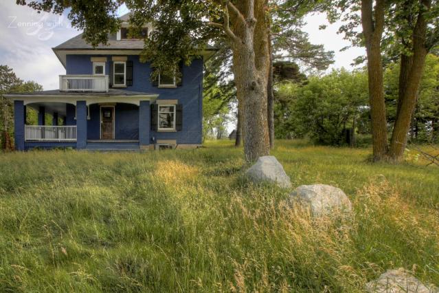 June 2021 - Collages.jpg