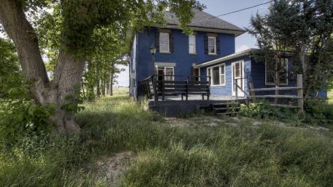 June 2021 - Collages36.jpg