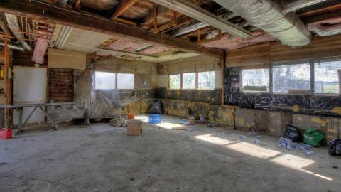 June 2021 - Collages42.jpg