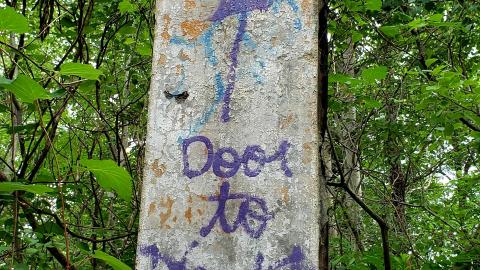 July 2021 - 20210719_003152.jpg