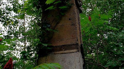 July 2021 - 20210719_003201.jpg