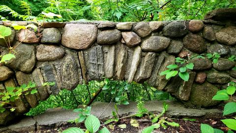 July 2021 - 20210719_004338.jpg