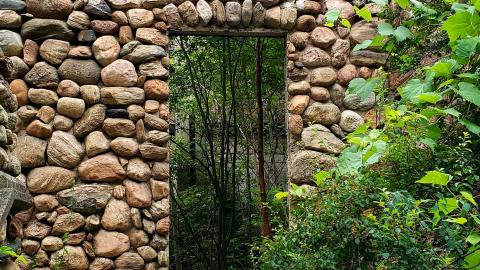 July 2021 - 20210719_004449.jpg