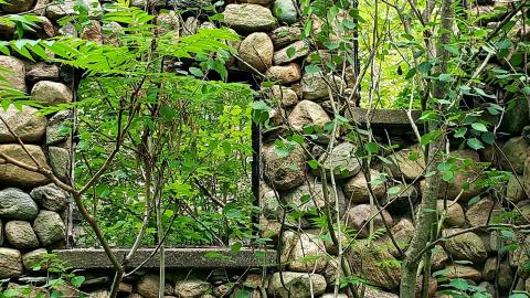 July 2021 - 20210719_003016.jpg