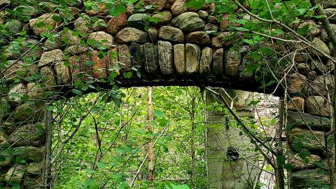 July 2021 - 20210719_003029.jpg