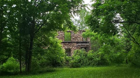 July 2021 - 20210719_004640.jpg