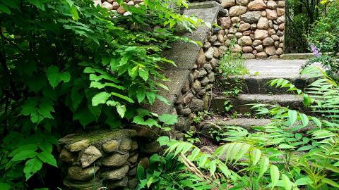 July 2021 - 20210719_004559.jpg