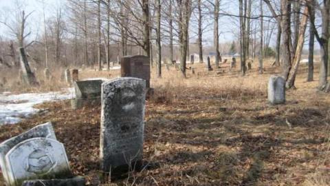 Greenbush Cemetery photo 5