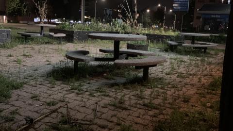 EasterBrooks July 2021 - IMG_2584.JPG