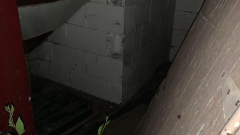 EasterBrooks July 2021 - IMG_2589.JPG