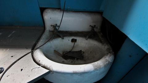 The Next Brad Pitt - MAY 2021 - IMG_3341.JPG