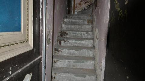 The Next Brad Pitt - MAY 2021 - IMG_3363.JPG