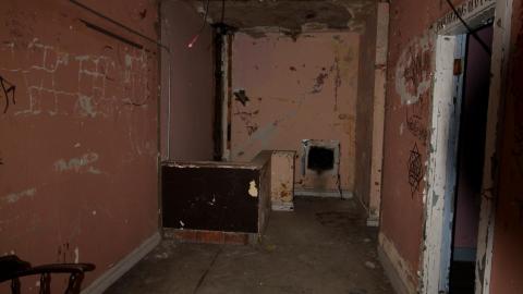 The Next Brad Pitt - MAY 2021 - IMG_3369.JPG