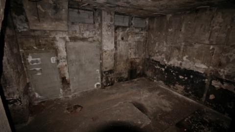 The Next Brad Pitt - MAY 2021 - IMG_3381.JPG