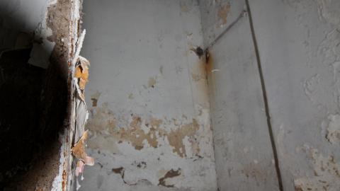 The Next Brad Pitt - MAY 2021 - IMG_3392.JPG